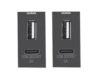 SAURAN Electrical Wall Switch,Pack of 2 USB Socket C-Type + (Type A)