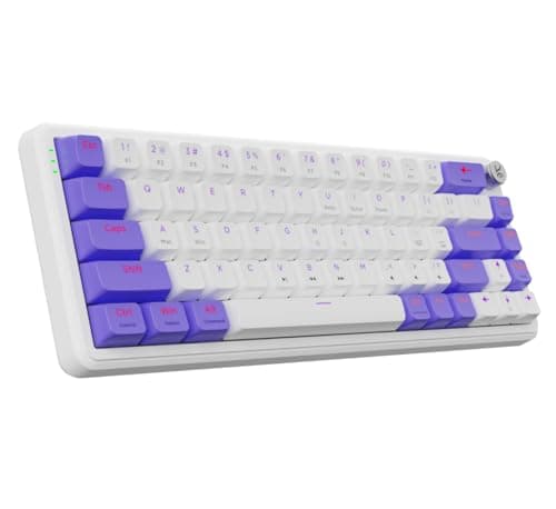 Kreo Hive 65 RGB Anti-ghosting Gaming Keyboard | Wired Mechanical Keyboard with RGB Backlight | 5 Pin Hot-Swap | Detachable USB C Cable (White)