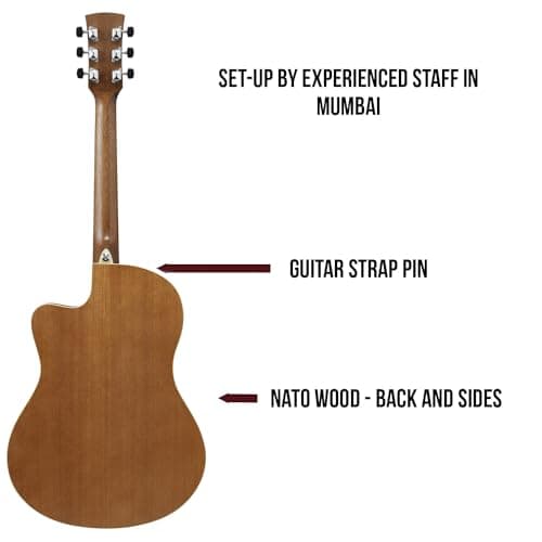 Ibanez MD39C OPN Acoustic Guitar – 39" Cutaway Design, Spruce Top, Rosewood Fingerboard, Expert-Checked, Beginner-Friendly, Made for India 2