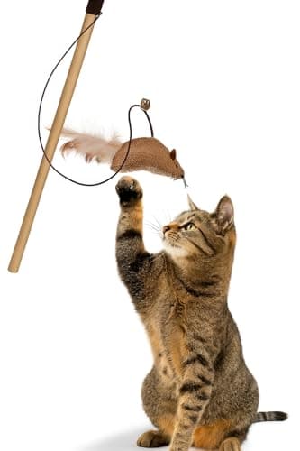 The Pets Company Interactive Cat Dangler Toy Stick with Bell & Feather Tail – Mouse Teaser Wand for Cats – Natural Jute, Exercise & Hunting Play – for Kittens & Adult Cats (Colour May Vary)