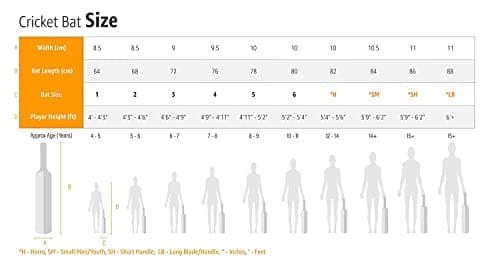 Kashmiri Popular Cricket Bat Light Wait Full Size with Bat Cover 6