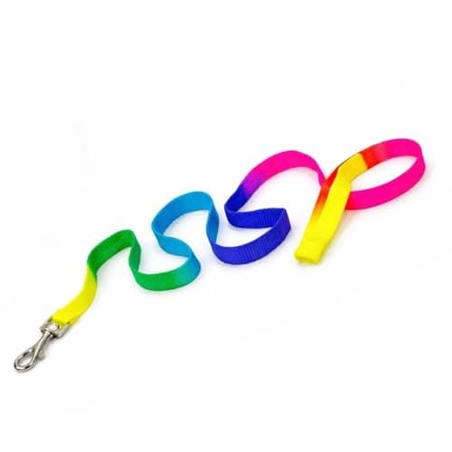 Dog Trust Colourful Adjustable Nylon Puppy Leash Harness and Collar Combo, Suitable for Puppy 15 mm Multicolor (Collar + Harness + Leash) 01 5