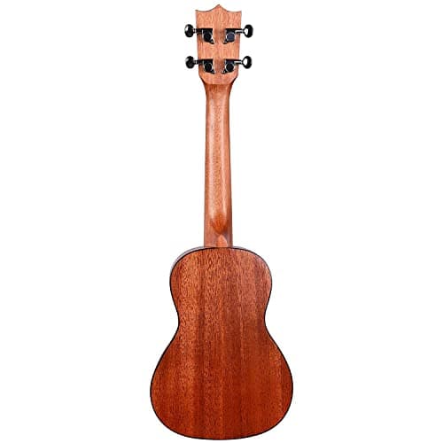 Kadence UKC01 Concert 23" Acoustic Ukulele | Spruce Wood | Comes with Bag | Includes Learning Course | Natural 5