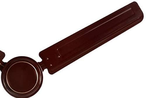 Usha Diplomat 1200mm 50 Watt|BEE Star Rated | 2 Year Warranty | (Brown) Pack of 1 3