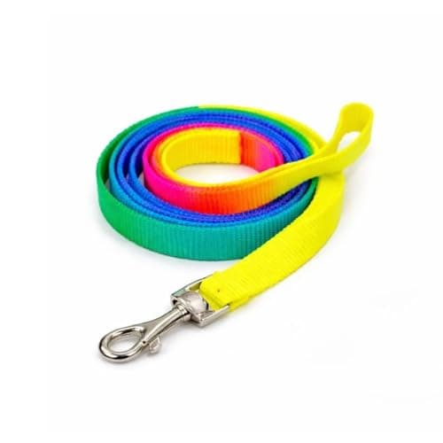 Dog Trust Colourful Adjustable Nylon Puppy Leash Harness and Collar Combo, Suitable for Puppy 15 mm Multicolor (Collar + Harness + Leash) 01 4