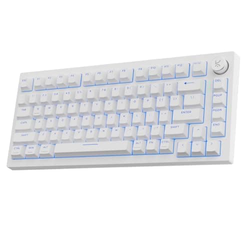 Kreo Swarm X Wireless Mechanical Gaming Keyboard – Huano Red Switches, Pass Through Keycaps with RGB, Tri-Mode Connectivity (2.4Ghz/Bluetooth/Wired), 5-Pin Hot-Swap, for Windows & MacOS (White)