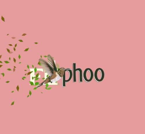 Typ'hoo Flu'rys Masala Chai Tea Bags, Premium Indian Blend, Pack of 2 3