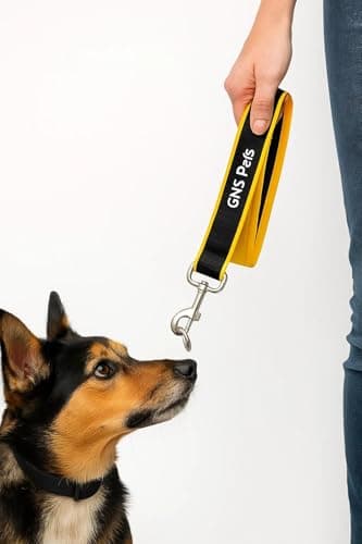 Premium Pet Control Strong & Durable Dog LWalking Training 1.5 feet 182 cm Dog Strap Leash 2