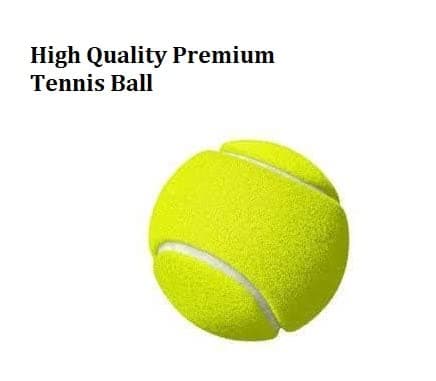 PMG Virat Kohli Wooden Cricket Bat for Boys 9-14 Years, Size-6 (1 Bat, 1 Ball, 1 Cap) 6