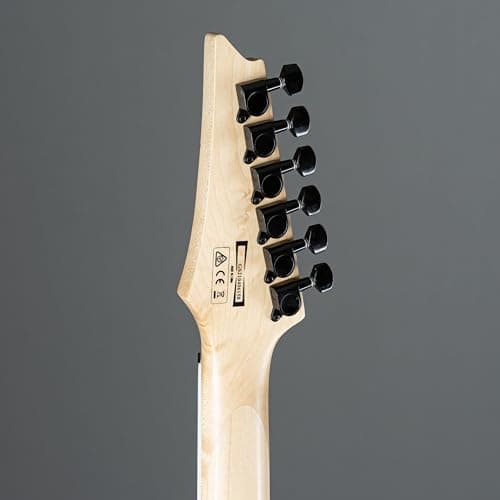 Ibanez Mahogany Electric Guitar Series Gio GRG121DX-BKF 3