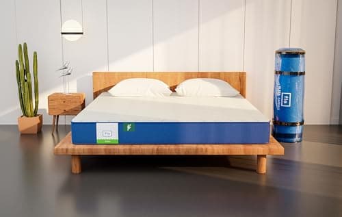 Flo Polyurethane Foam Ortho Aloe Vera Infused Orthopedic Mattress with Painrelease Technology | Medium Firm Feel | 6 Inch Mattress in Queen Size (72X60X6 Inches) | 10 Year Warranty