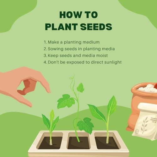 200+ SEEDS- Hybrid Climbing Rose Flower Mix Seeds, Year-Round Blooms. 6