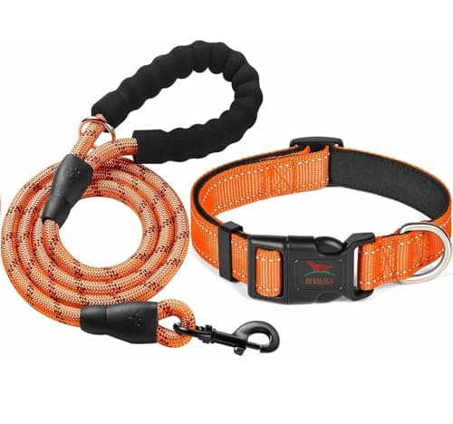 Petology Reflective Dog Leash & Collar Set for Medium Dogs (30-40cms) | 5ft Nylon Leash | Soft Neoprene Padded with Safe & Quick Release Buckle | Comfortable, Lightweight & Durable
