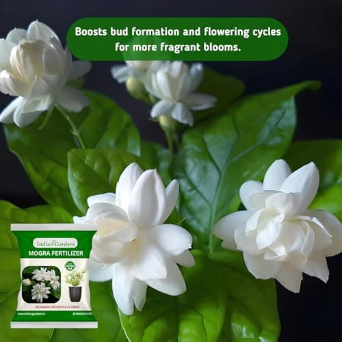 Indian Gardens - Mogra Fertilizer (400 Grams) | Organic Flower Booster for Jasmine Plants | Promotes More Flowers | Green Leaves & Strong Roots 3