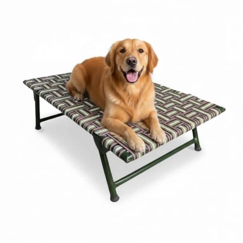 NATTNAK Elevated Dog Pet Bed with Leg Fold Iron Frame Premium Niwar Strips Size 42x24x12 Inch Indoor/Outdoor Use Already Assembled