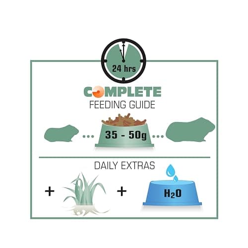 Versele-Laga Complete Cavia Fibre-Rich All-in-one for Guinea Pigs 500gm, All Life Stages, Pellet 4
