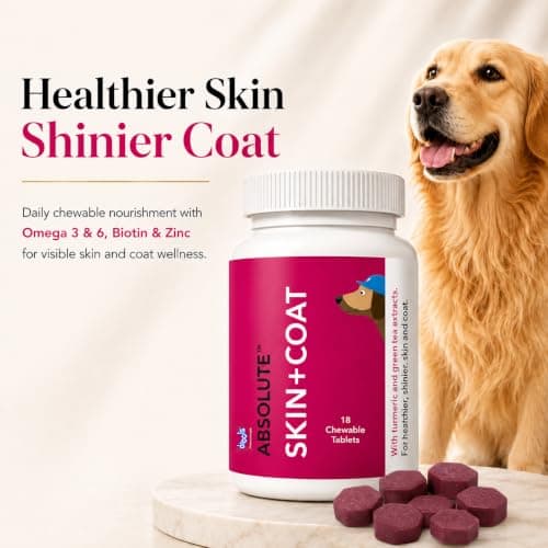 Drools Absolute Dog Supplement Tablet, Skin+ Coat 400g 110 Pieces Jar | Turmeric Flavour | Supports Skin& Food Sensitivity | Supports Skin Natural Barrier | Nutrients Rich Botanical 2