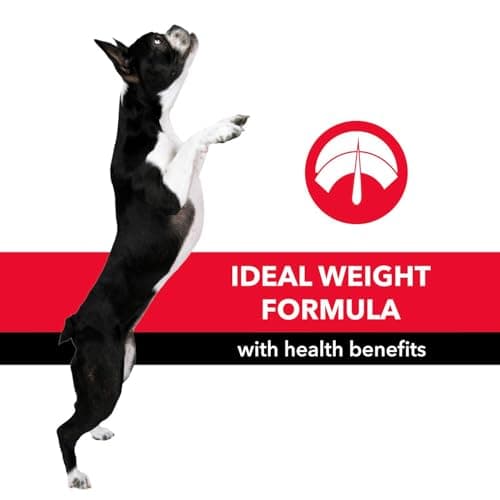 Purepet Adult Dry Dog Food 10kg | Meat & Rice Flavour | Promotes Health & Vitality | Immune Support | Healthy Digestion | Nutrient Rich 6