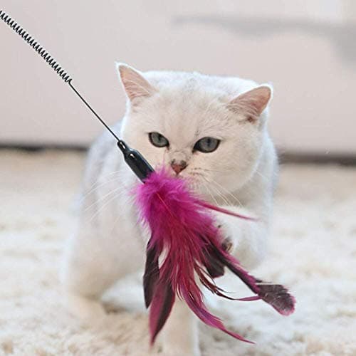 The Pets Company Cat Spring Treaser, Feather Dangler Wand, Interactive Stick Toy for Cats & Kittens 3