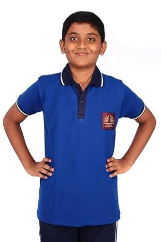 D V Enterprise Kendriya Vidyalaya School T-Shirt, Cotton Polo Collar, Unisex, Half Sleeve, Regular Fit, Uniform (in, Numeric, 42, Blue)