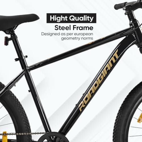 ROADGIANT Squad BLACKGOLD-26 Z Black-Single Speed- Steel 5