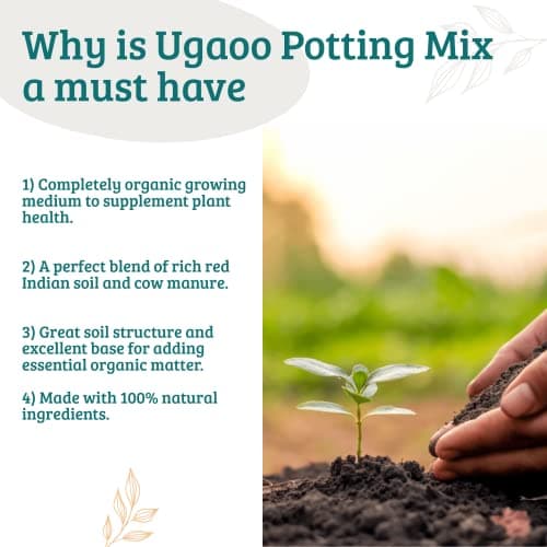 Ugaoo Organic Potting Soil Mix for Plants – 5 Kg | Ready to Use Garden Soil for Cactus & Succulents, Indoor, Outdoor & Flowering Plants | Red Soil with Cow Manure | Home Garden Potting Mixture 4