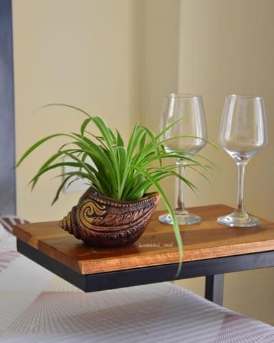 The Handicraftian Exclusive Terracotta Modern Flower Stands Sankh Planter Set of 3 for Living Room and Indoor & Outdoor Home Décor 2