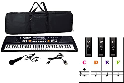 DOMENICO Electronic Digital Piano Keyboard 61 Keys- Multi-Function Portable Piano Keyboard Electronic Organ With Piano Bag + Piano Stickers