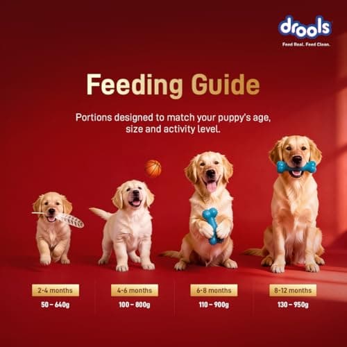 Drools Puppy Dry Dog Food 1kg | Meat and Milk Flavour | Supports Healthy Brain Development and Cognitive Function | Antioxidants | Chelated Minerals | Better Bioavailability of Minerals 6