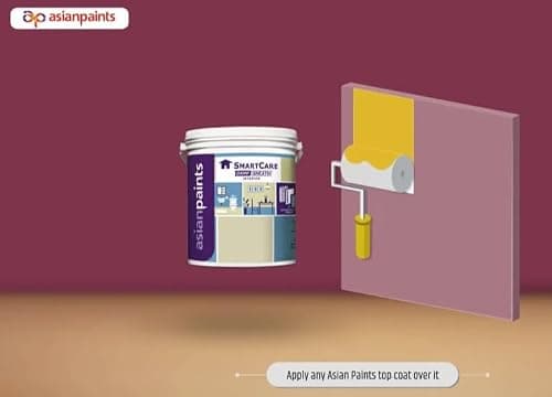 Asian Paint Smart Care Damp Sheath Interior Waterproofing Primer, Water-Based, for Interior Walls (20 Liters) 4