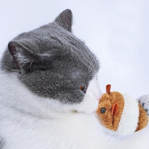 RvPaws Pulling Mouse Sound for Kitten | Vibrating Drawstring Mouse Cat Catching Mouse Toy | Funny Mouse Plush Cat Toy Jumping Mouse - Color May Vary 4