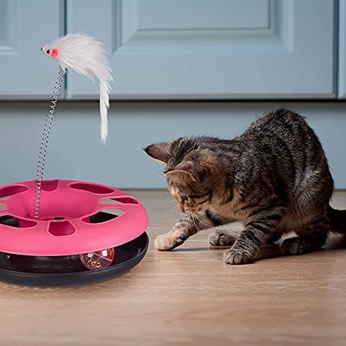 The Pets Company Catch The Mouse & Ball Cat Toy, Interactive, Training, Activity Toy for Cats & Kittens 6