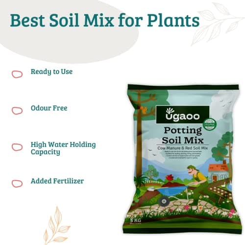 Ugaoo Organic Potting Soil Mix for Plants – 5 Kg | Ready to Use Garden Soil for Cactus & Succulents, Indoor, Outdoor & Flowering Plants | Red Soil with Cow Manure | Home Garden Potting Mixture 2