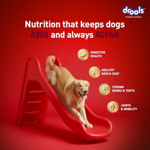 Drools Adult Dry Dog Food 1kg | Lamb and Rice Flavour | Supports Skin Nourishment and Coat Radiance | Promotes Healthy Digestion | Natural Antioxidants | Strengthen Immunity 5