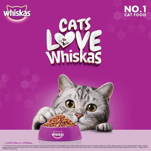 Whiskas Adult (1+ Years) Dry Cat Food, Chicken Flavour, 1.2 kg, Contains 41 Essential Nutrients, Complete & Balanced Nutrition for Adult Cats (Pack of 2) 2