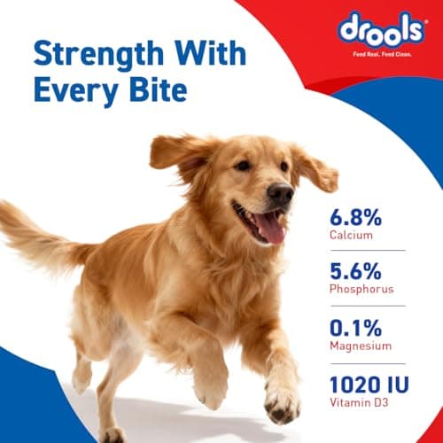 Drools Absolute Dog Bone Treats 300g 20 Pieces Jar | Milk Flavour | Strengthens Gums and Jaws | Enriched with Calcium and Phosphorus | Keeps the Dog's Teeth Healthy and Clean 6