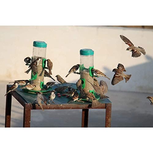 Skybeings Bird Feeder for Bird Food Large 4 Piece_Yellow 5