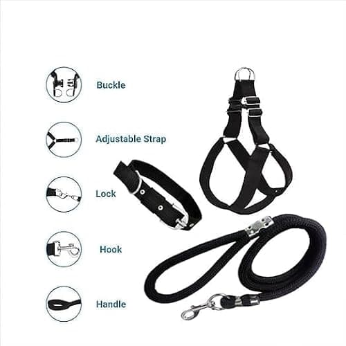 Agirav No Pull Dog Harness - Step in Dog Harness and Leash for Small Medium Large Dog - Escape Proof Adjustable Soft Leash Collar Set for Walking Training Hiking Outdoor, 15 Cm, 15 Cm 4