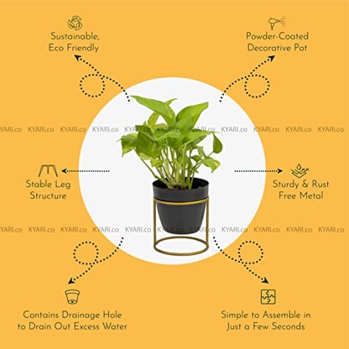 KYARI Vanessa Alluring Black, Metal Oblong Pots & Planters Pack of 1 3