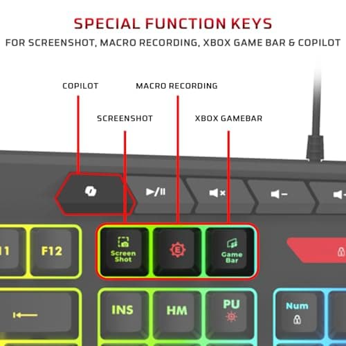 EvoFox Deathray v2 Pro Gaming Keyboard | Programmable Macro & Special Function Keys | 6 Zone RGB Backlighting | 19 Anti Ghosting Keys | Ergonomic Full Size Layout, Membrane Keys | Wired - Black 4