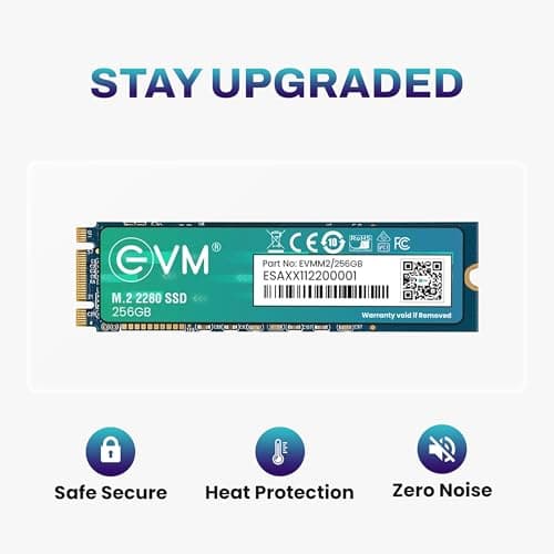 EVM 256GB M.2 SATA SSD 2280 | Internal SSD | Up to 530MB/s Read 420MB/s Write | Laptop Desktop Storage Upgrade | 5 Year Warranty (EVMM2/256GB) 5