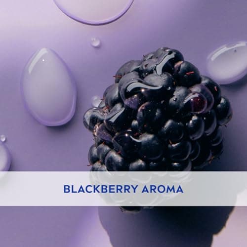 NIVEA Lip Balm, Fruity Berry Shine, 4.8gm, Purple 6