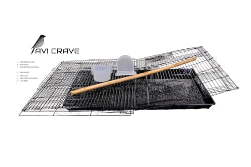 AVI CRAVE Bird Iron Cage For Budgies,Finches,Love Birds,Cocktails,Conures,Black, 1 level, medium 4