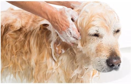 Pet Shampoo I Puppy Safe Shampoo I pH Balanced I Shine and Smooth Hair 5 Litre Pack of 2 Neem Alovera & Lemon 3