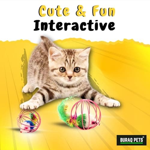 BURAQ 2 Pcs Cat Ball Toy, Cute & Fun Interactive Caged Rats Rolling Cat Balls, Mouse Ball Toys Cat Toys for Kittens 2