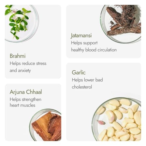 Kapiva BP Care Juice - 100% Ayurvedic Juice to Support Healthy Blood Pressure Levels| Arjuna, Jatamansi & 8 Other Herbs 1 Litre 4