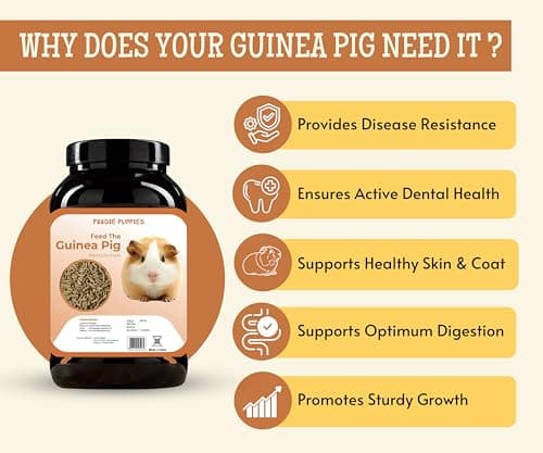 Foodie Puppies Premium Guinea Pig Food Pellets (1Kg) | Highly Nutritious Diet Essential Ingredients for a Healthy and Active Lifestyle for Adult & Young Guinea Pigs 5