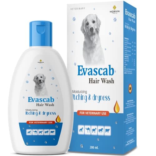 Morvin India Evascab Dog Shampoo/Hair Wash with Fresh Scent, Moisturizing, Conditioning, Itching & Dryness (200ml, Pack of 2) 2