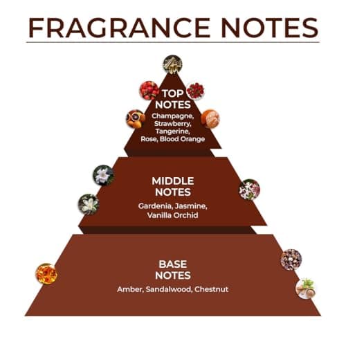 Blur India Cookie Crumble Eau De Parfum for Women | Warm & Sweet Dessert-Inspired Fragrance | Long Lasting Daily Scent | 30ml 5