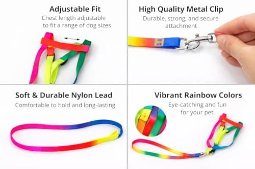 Dog Trust Colourful Adjustable Nylon Puppy Leash Harness and Collar Combo, Suitable for Puppy 15 mm Multicolor (Collar + Harness + Leash) 01 2